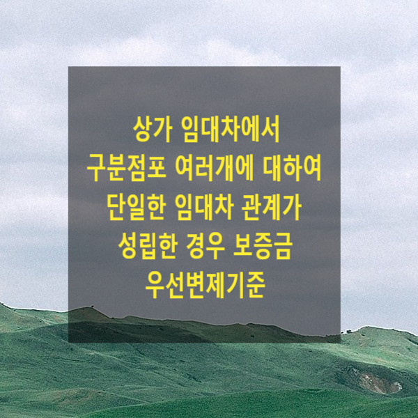  상가 임대차에서 구분점포 여러개에 대하여 단일한 임대차 관계가 성립한 경우 보증금 우선변제기준(환산보증금, 헬스클럽)