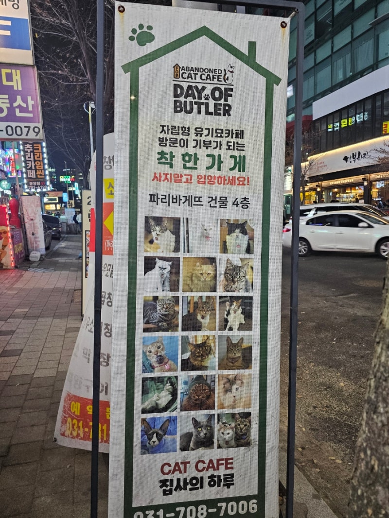 캣카페 집사의하루 분당점