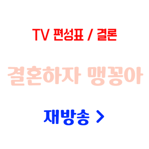  결혼하자 맹꽁아! 재방송 다시보기 무료 I 편성표 I 결말