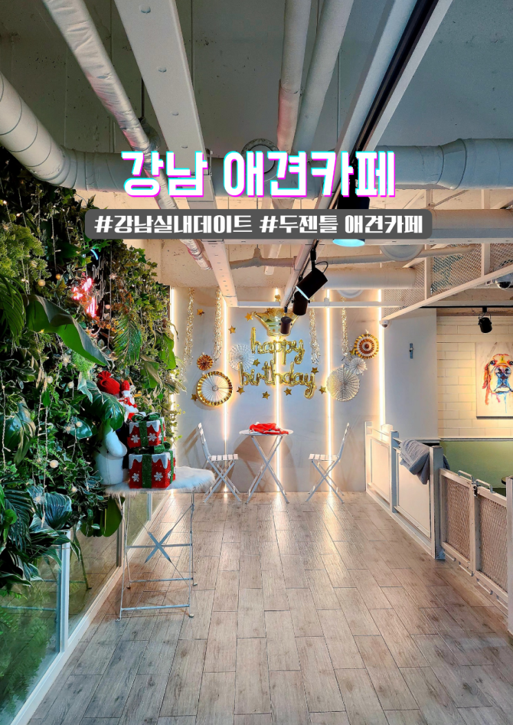  강남 두젠틀 애견카페 실내데이트 호텔 미용실 애견유치원