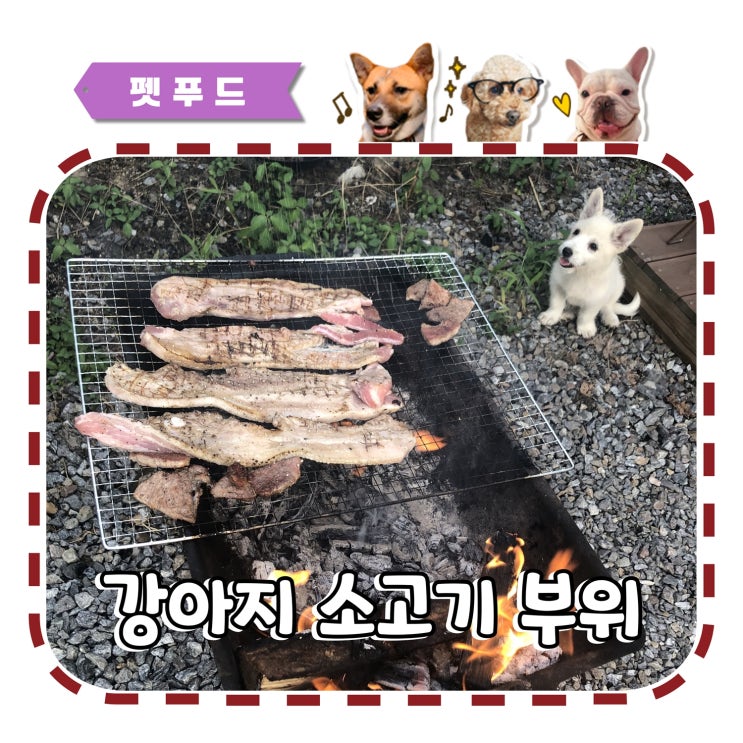  강아지 소고기 부위 급여 헷갈린다면? 멍수무강 추천