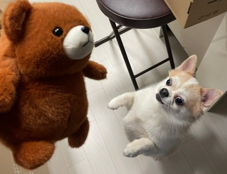  일상 - 인형뽑기