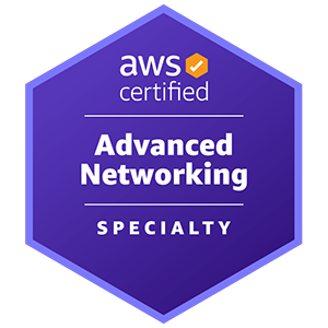  AWS ANS-C01(Amazon Web Service Advanced Networking Specialty) 자격증 덤프 문제 풀이 Examtopics 41-47Page