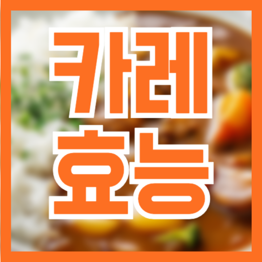  카레효능 6가지! 이것 때문에 꼭 먹어야!?