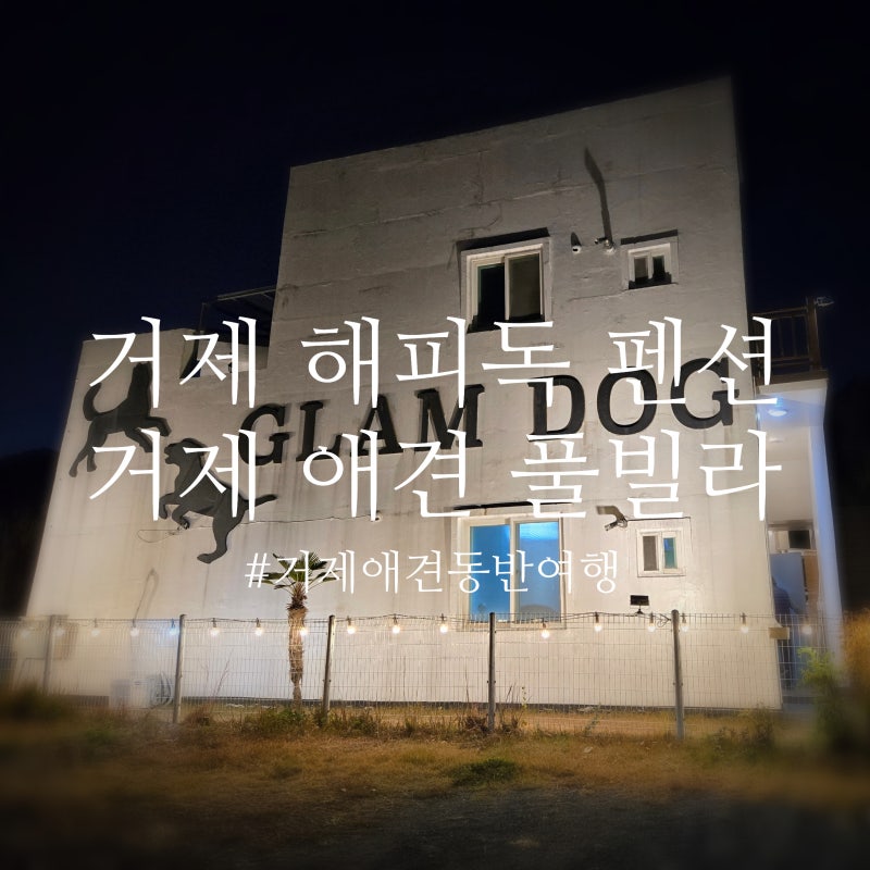 사진 3