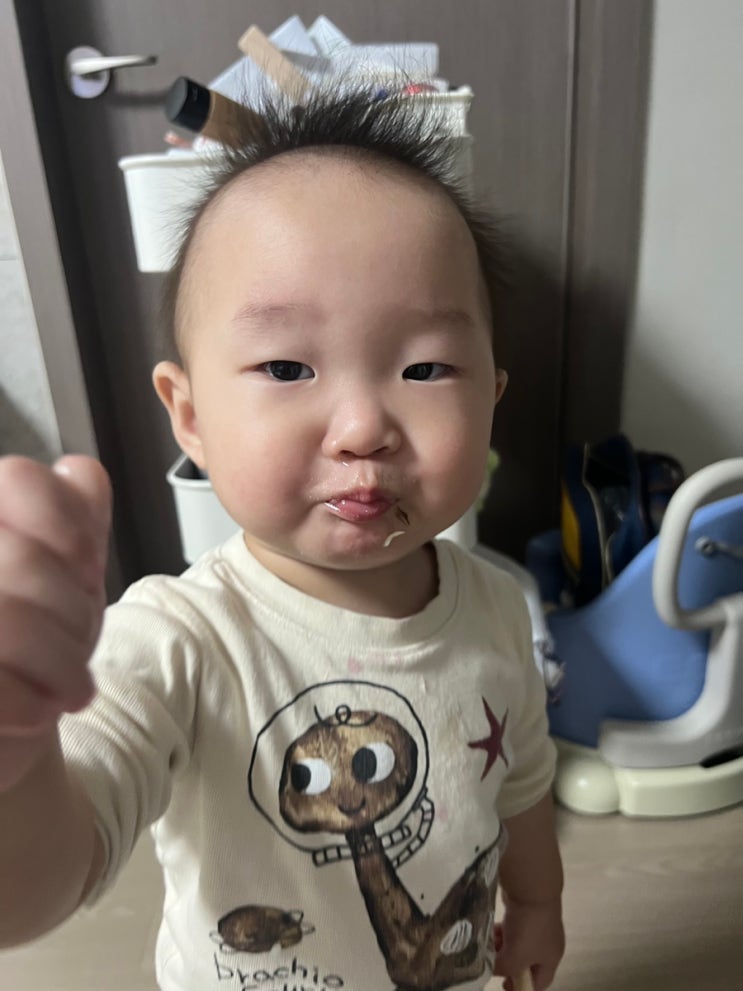  돌아기 이유식 고등어 구이 이마트 노르웨이 고등어 필렛 에어프라이어 굽는 시간 및 방법