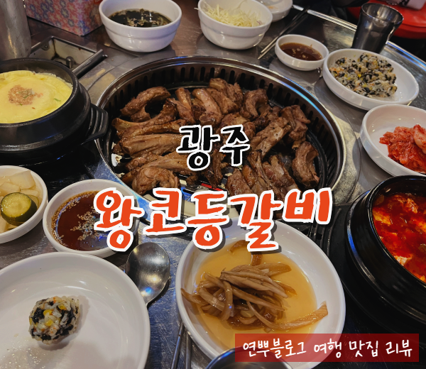  광주 금호동 맛집 왕코등갈비 소금구이 등갈비