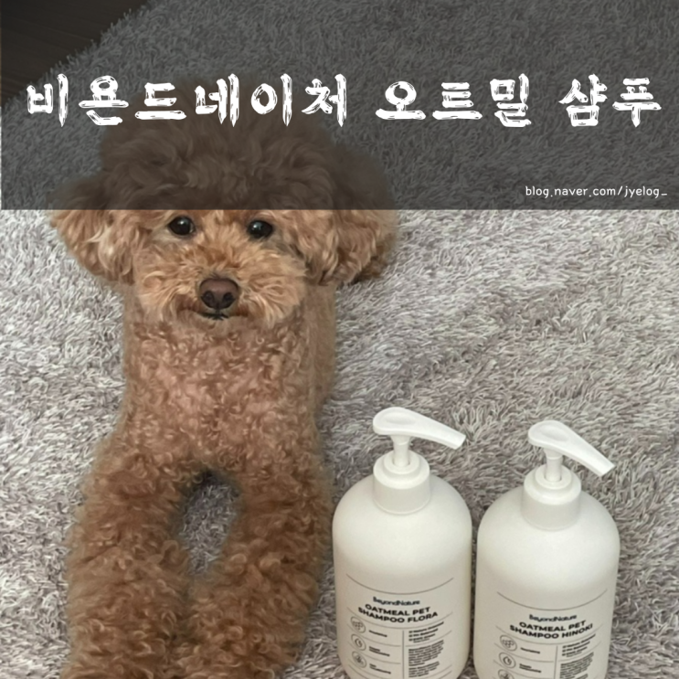  강아지샴푸 추천 올인원 푸들샴푸 [비욘드네이처 오트밀 샴푸]