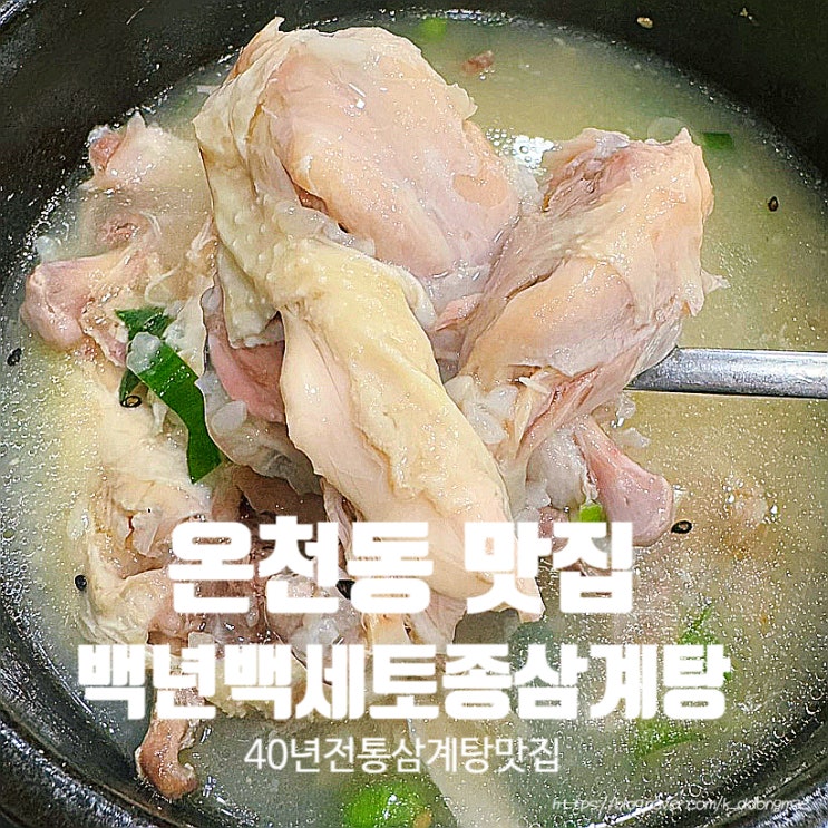  온천동 맛집 '백년백세토종삼계탕' 40년전통 삼계탕 맛집