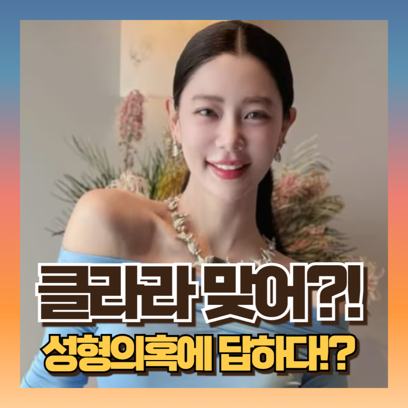 클라라 성형의혹에 답하다?! (변천사 모습비교/ 프로필 나이)