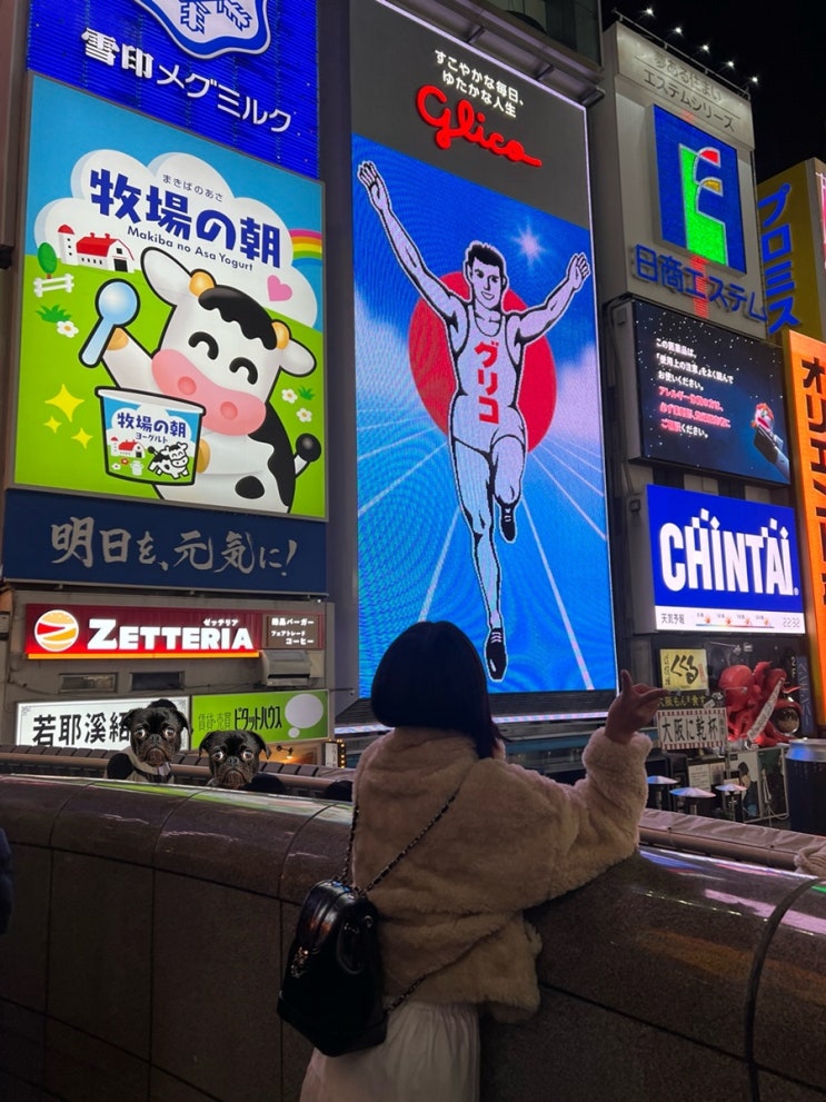  일본 오사카 여행 뚱님과 첫 오사카(토라니츠노/하나타코/캐피탈/도톤보리/신사이바시네스트/교토 쿄우나와)