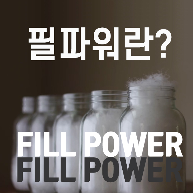  필파워(Fiil Power)란? 필파워 높으면 좋나요?