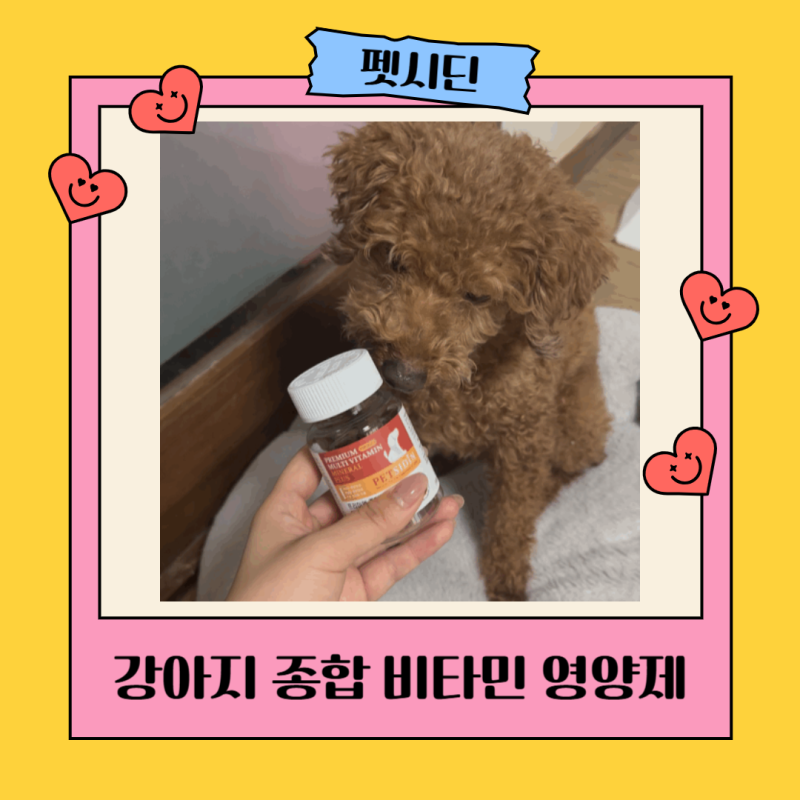 펫시딘 강아지 종합 비타민 영양제로 건강 지키자