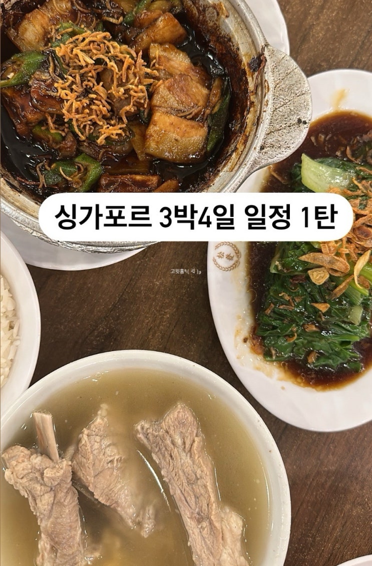  싱가포르 3박 4일 일정 1탄 (비보시티, 하버프론트, 송파바쿠테 후기, 토스트박스, 싱가포르 카야토스트)