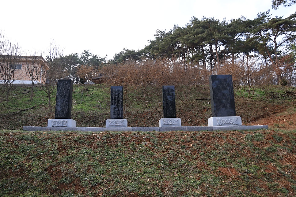 1852M 사진 6