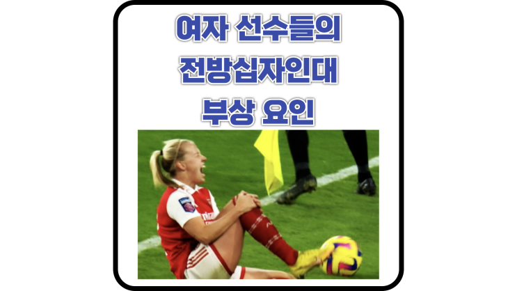  여자 선수 전방십자인대 부상 요인(생체역학적, 신경근 위험 요인)