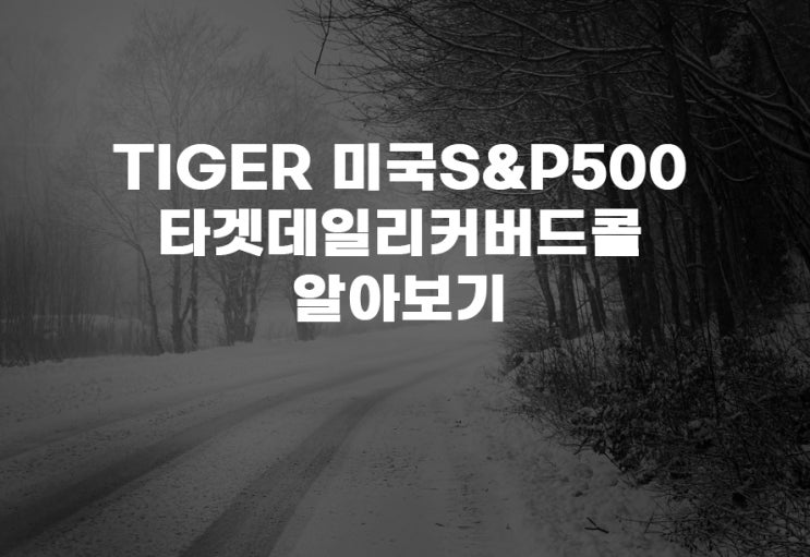  TIGER 미국S&P500타겟데일리커버드콜(482730) ETF 분석 주가 주식