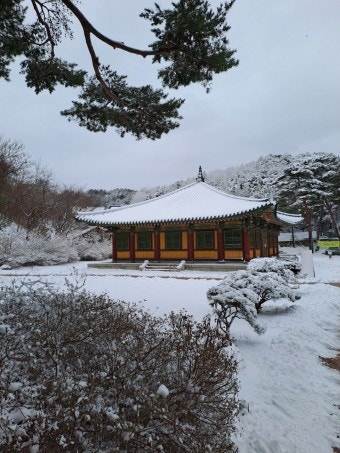 국내에서 겨울에 안 가면 후회하는 여행지 BEST 6 소개