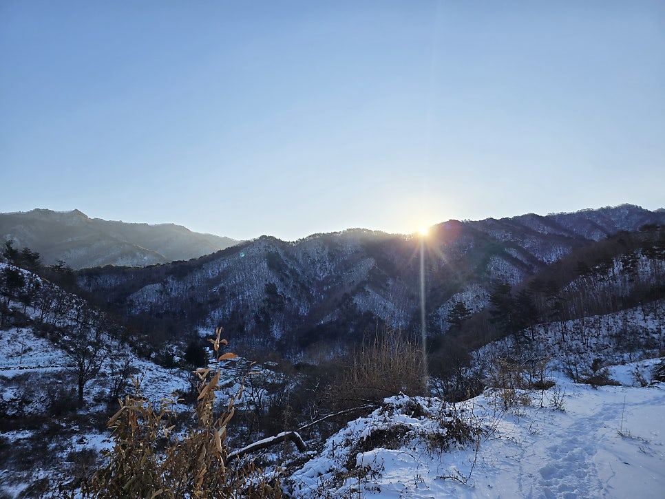 각호골 사진 6