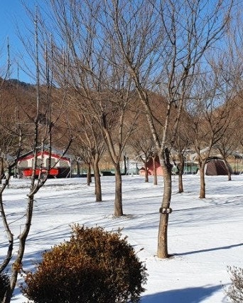 사진 5