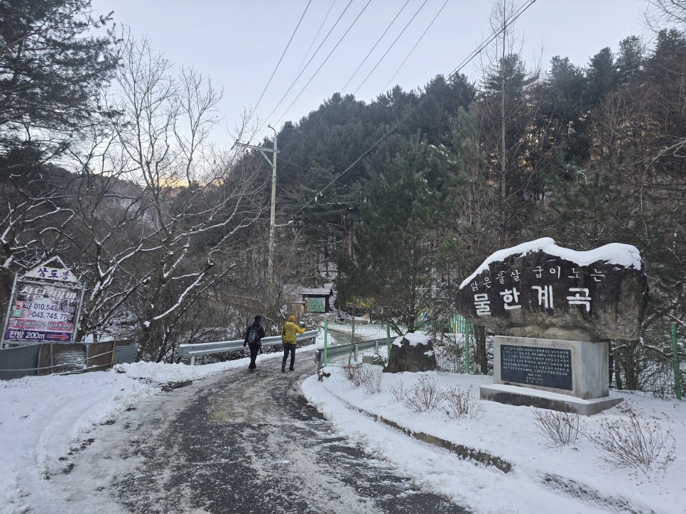 각호골 사진 5