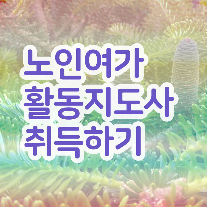  노인여가활동지도사 분석가 , 노인여가활동지도사 15일 만에 취득한 과정