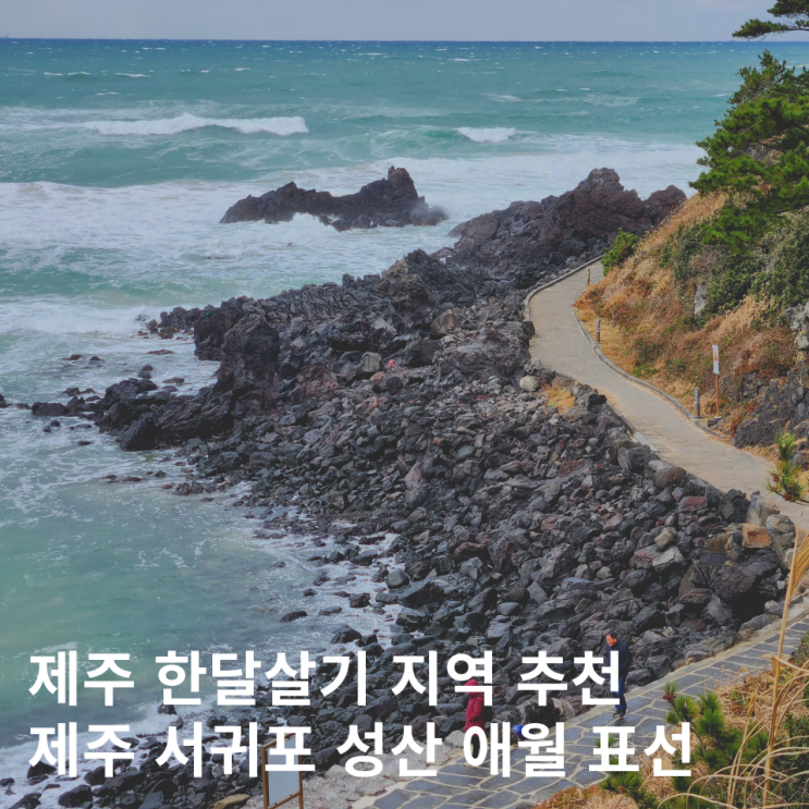  제주 한달살기 지역 추천 선정 기준 팁 숙소 위치