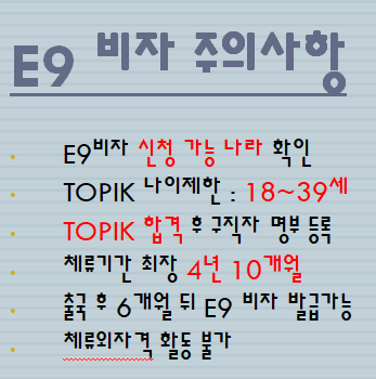  E9 비전문취업비자