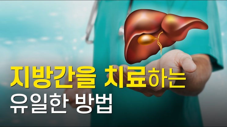 지방간 치료 가능합니다. 치료 해야만 합니다 지방간 치료 가능합니다. 치료 해야만 합니다