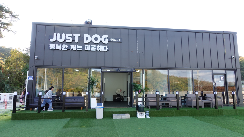 사진 2