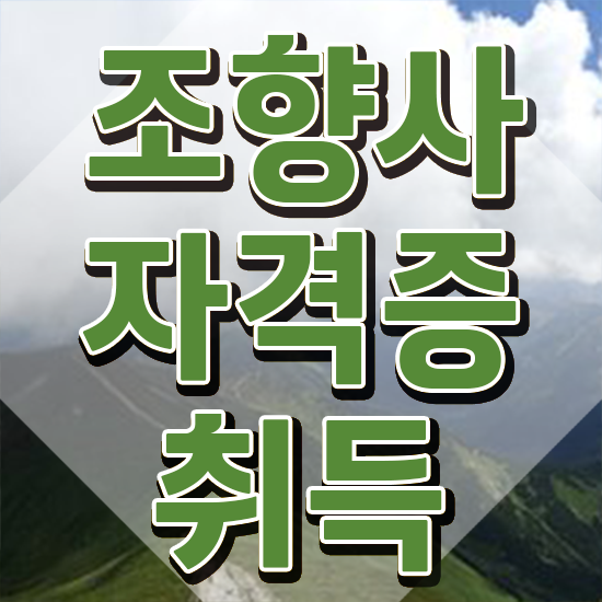  , 조향사 2주 만에 준비한 방법 요점정리