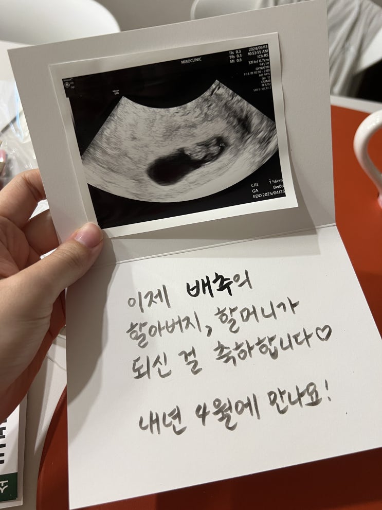  올해 마무리 • 새 가족을 맞이한 행복️