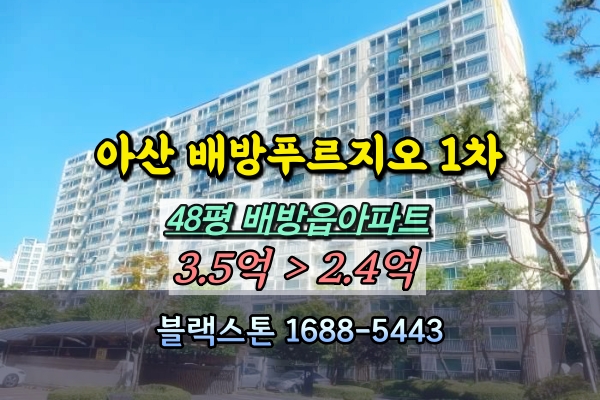  배방읍 대우푸르지오 1차 경매 48평