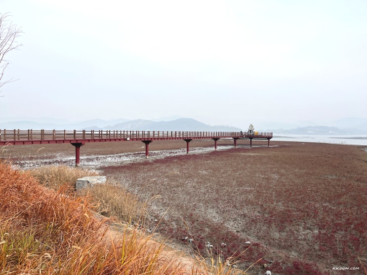 석모도 칠면초 군락지, 강화도 라르고빌 리조트 로얄 스위트 석모도 칠면초 군락지, 강화도 라르고빌 리조트 로얄 스위트