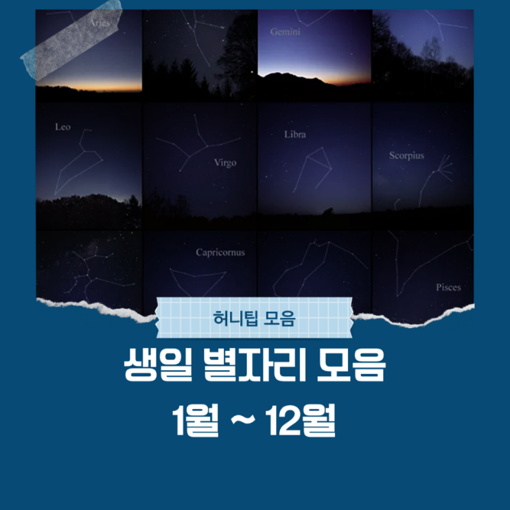  생일 별자리 알아보기