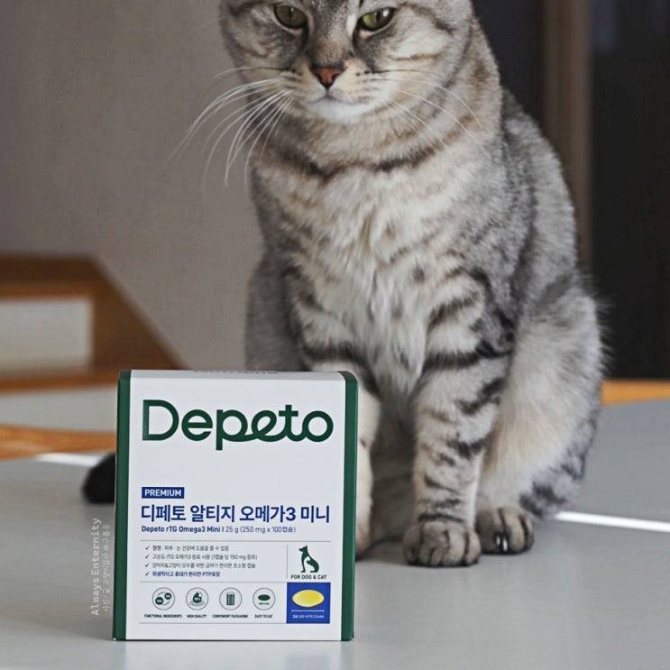  강아지 고양이 오메가3 효과, 디페토 미니 250mg 체험 후기
