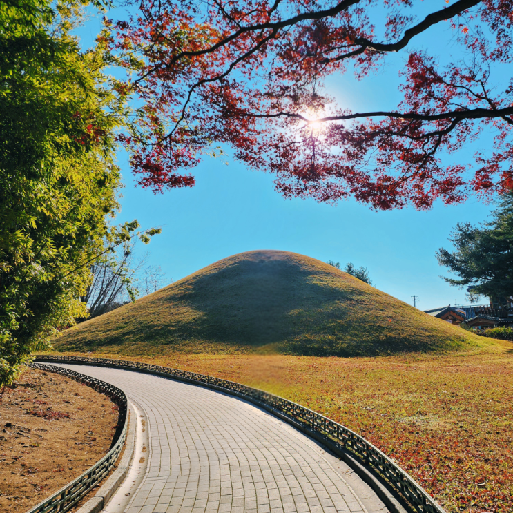  대릉원 황남대총 미추왕릉 경주 여행 가볼만한 곳 명소 걷기 좋은 산책로