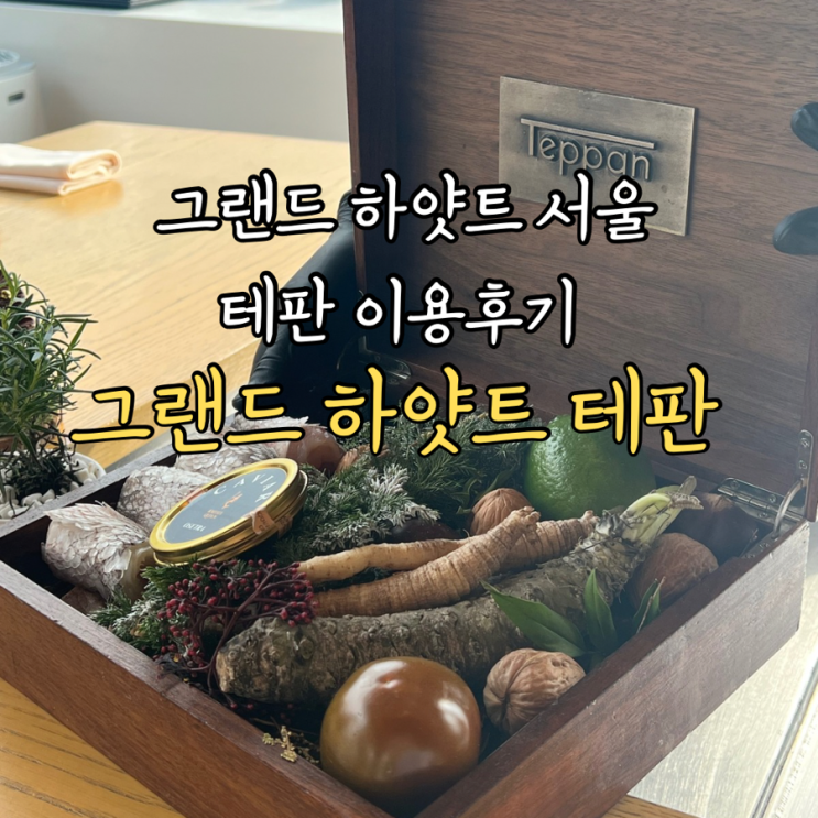  그랜드하얏트 서울 테판 평일 런치 예약방법 두번째 방문후기