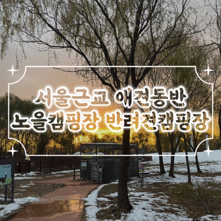  서울 반려견동반 캠핑장 / 노을캠핑장 반려견캠핑장 예약방법 대형견존