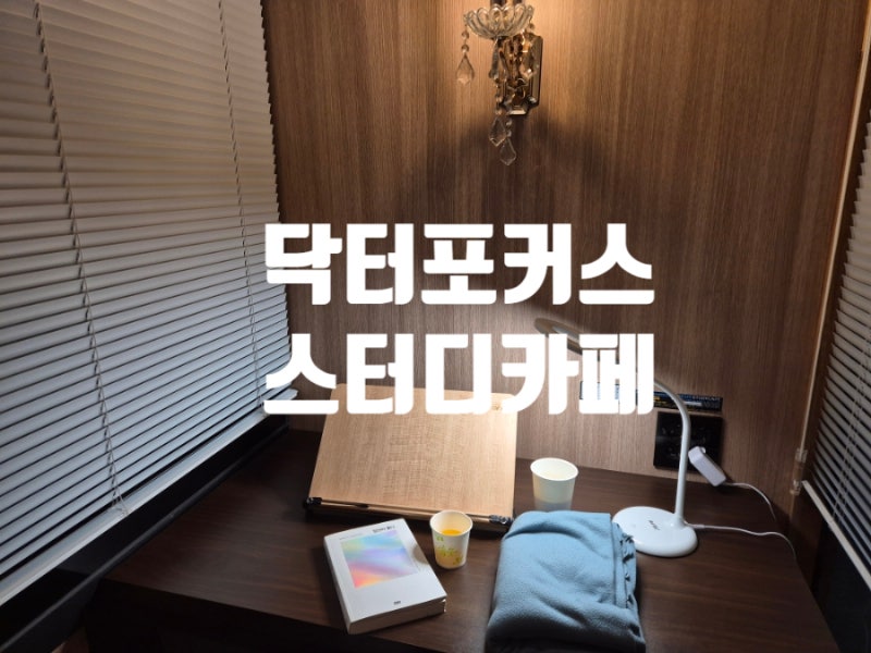 대구 신월성 24시 스터디카페 취업준비 독서실 : ) 닥터포커스