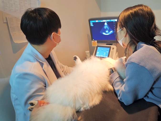  부산24시동물병원 강아지 건강검진 심장 초음파 연산동물의료센터