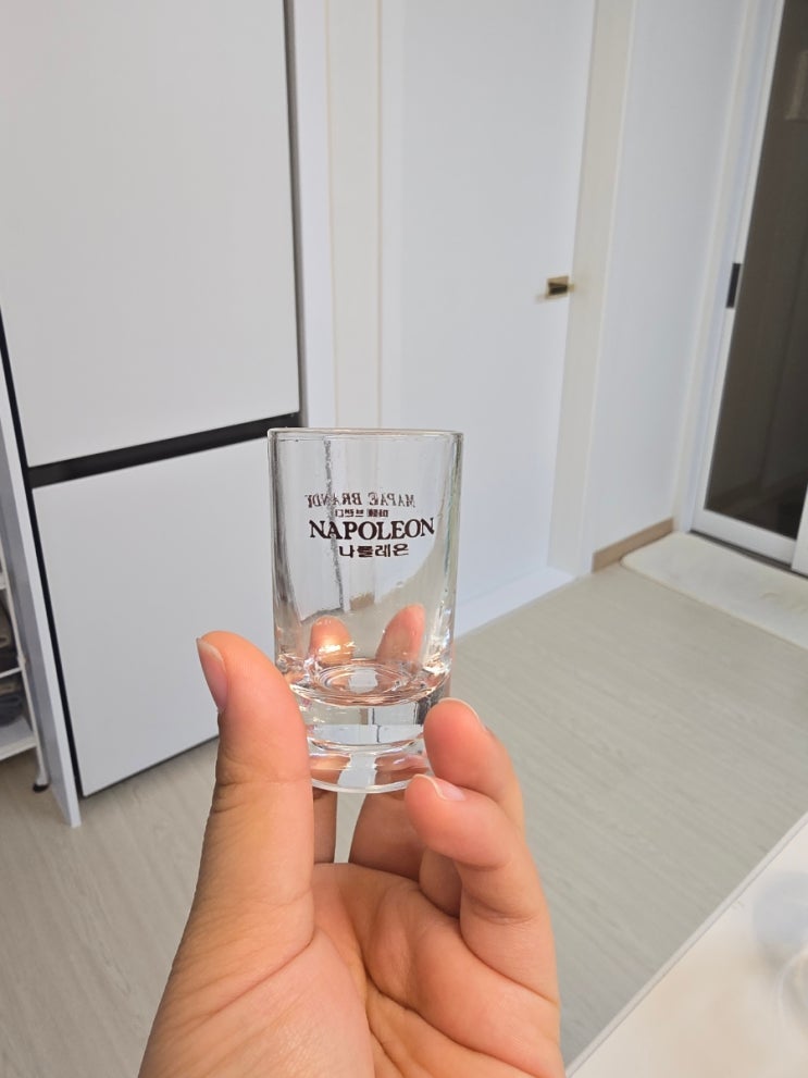  나폴레온 샷잔