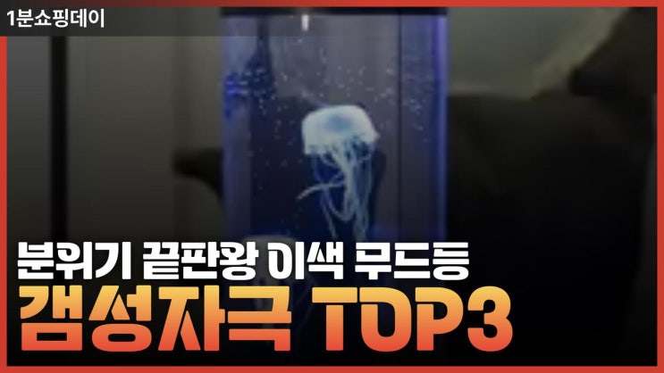  어디에도 본적없는 색다른 무드등 ! TOP3