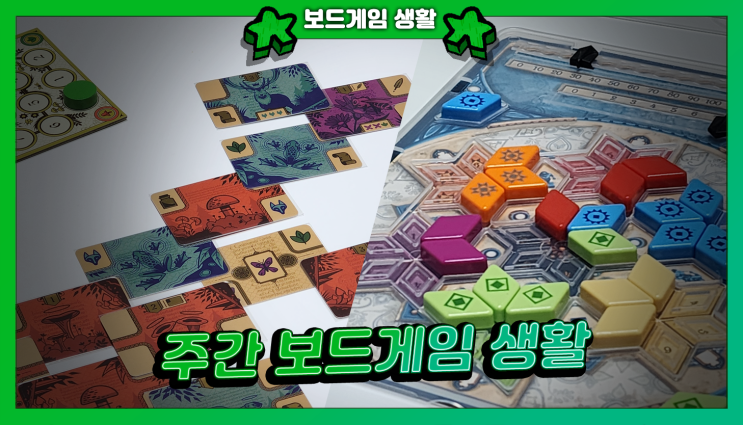  주간 보드게임 생활 | 코덱스, 아줄 여름별장 미니
