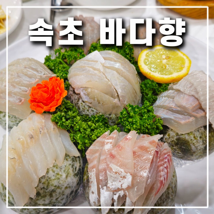  속초 청초호 횟집 바다향 조양동 호수공원 현지인 생선구이 맛집