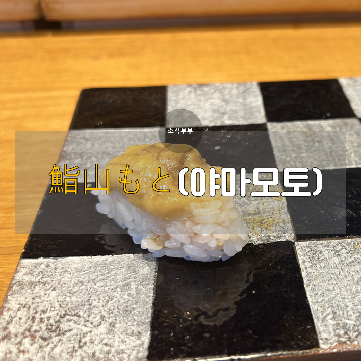  [도쿄] 가마쿠라 맛집, 3500엔 예약가능한 오마카세 초밥집, 鮨山もと(야마모토)
