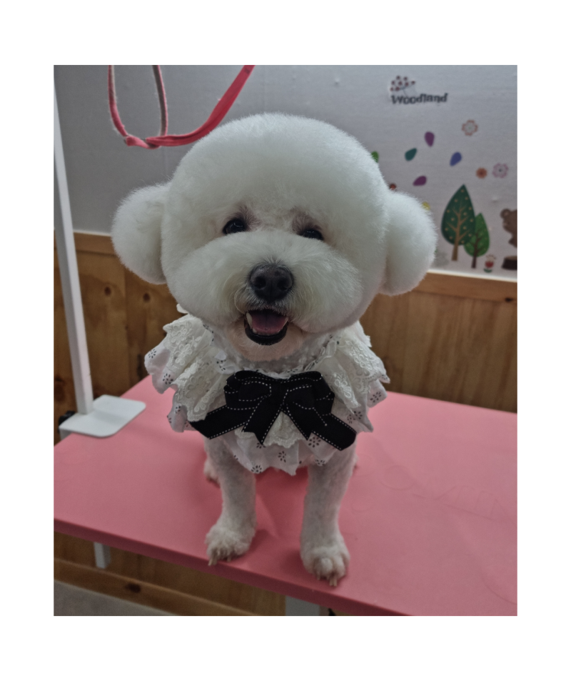사진 2