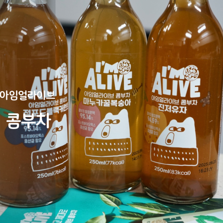 아임얼라이브 콤부차 효능 뜻 콤부차 만들기