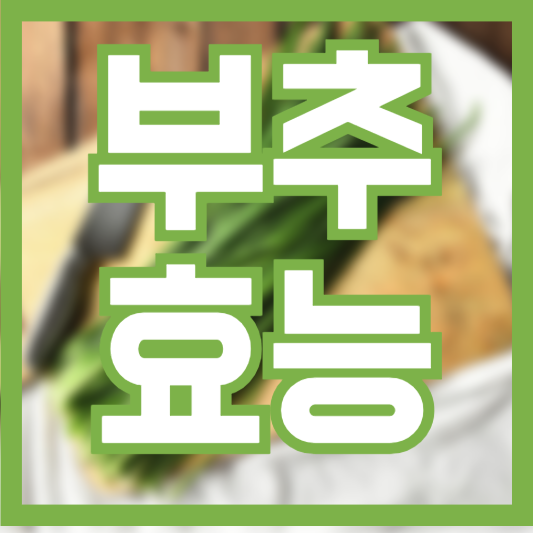  부추 효능 5가지! 혈액순환에는 부추!?