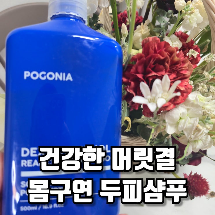  2025 약산성샴푸 건강한 머릿결 몸구연 두피샴푸